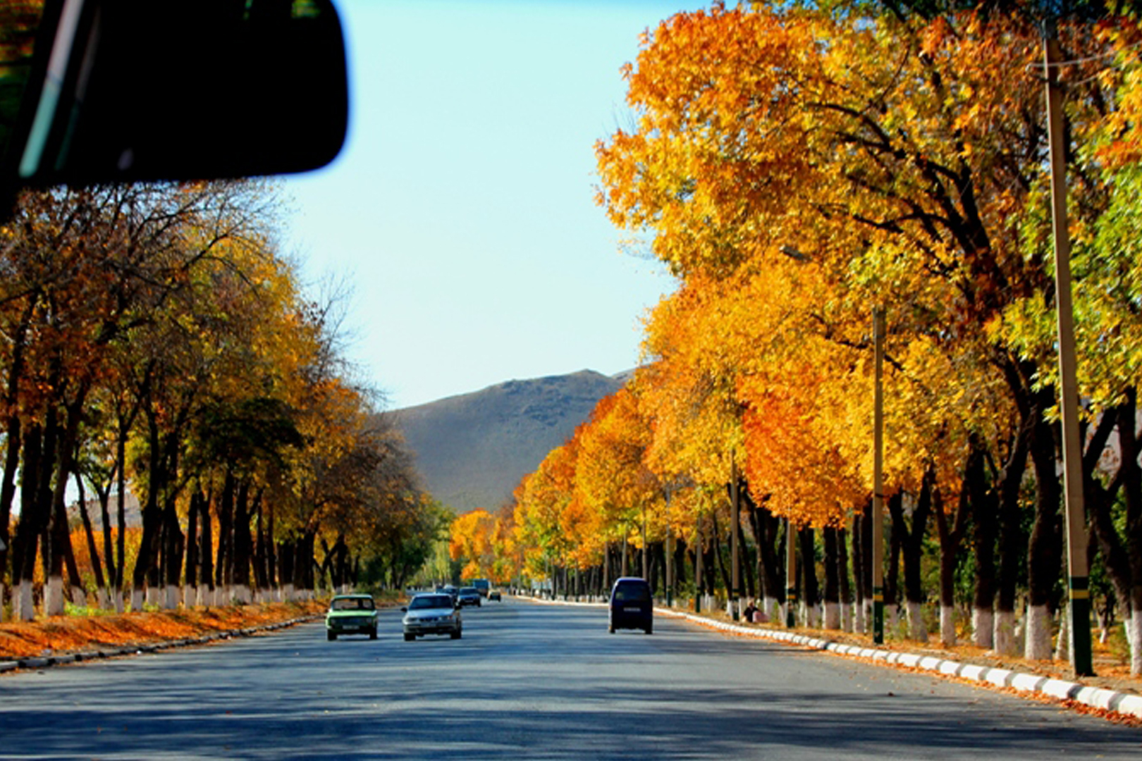 Куз на русском. Осенний Ташкент. Осень в Узбекистане. Ташкент осень. Узбекистан осенью.