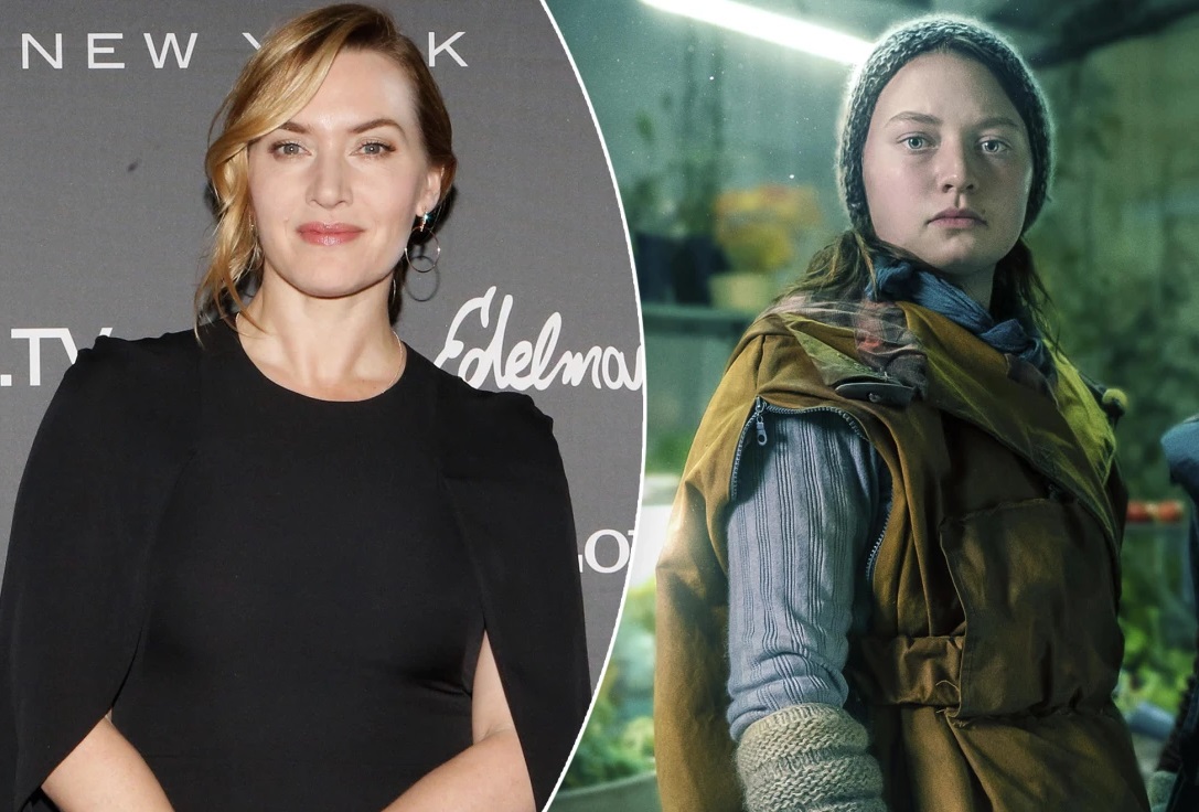 Chiroyli mushukning fotosurati keng ochilgan