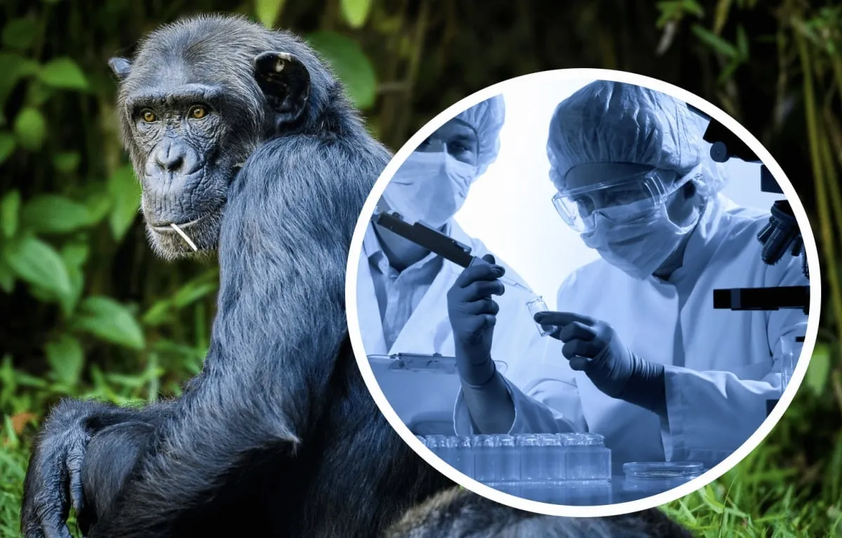 
											
											Rossiyada maymunchechak kasalligiga qarshi vaksina yaratildi
											
											