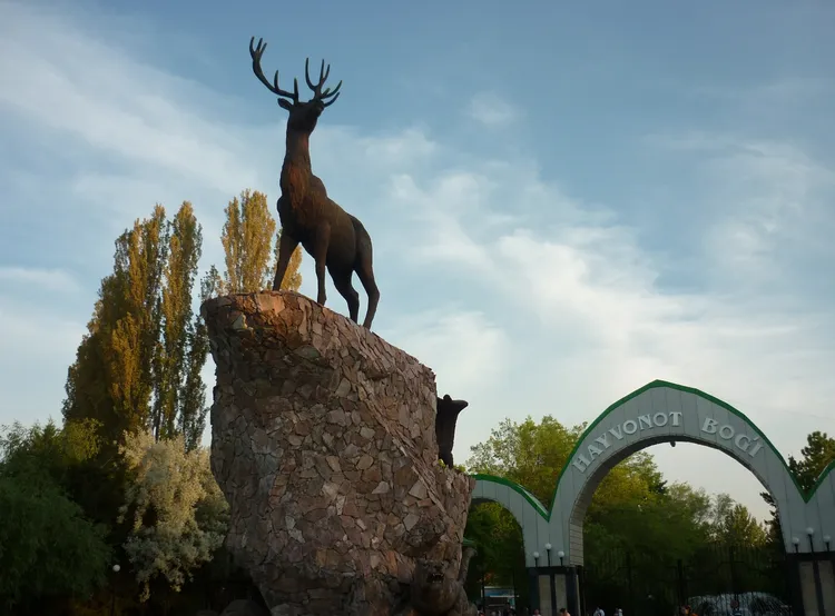 
											
											Toshkent hayvonot bog‘i ish vaqtini o‘zgartirdi
											
											