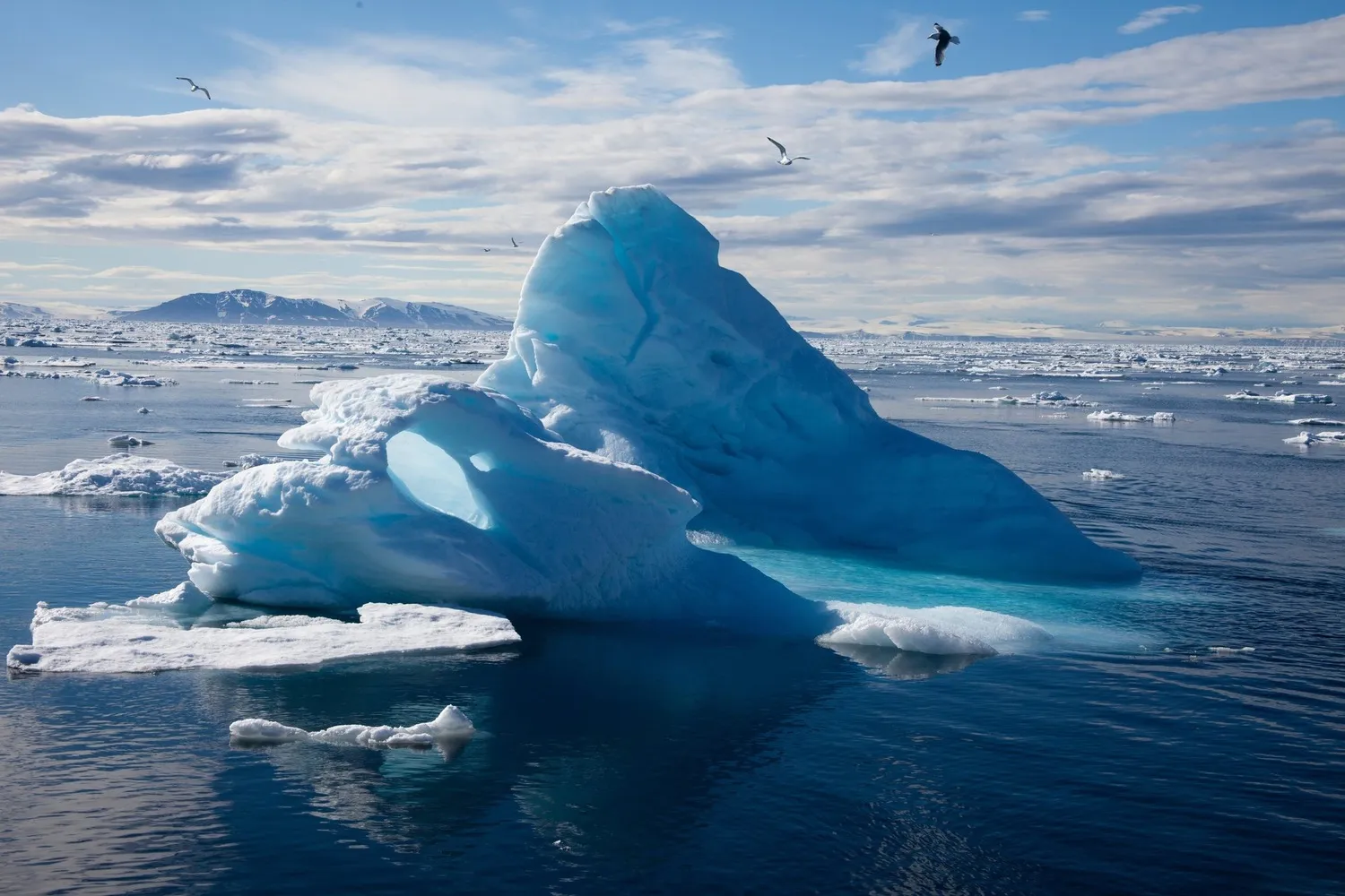 
											
											Arktika muzliklaridagi viruslar qanchalik havfli?
											
											