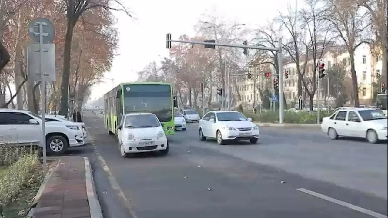 Kuz uchun keng koylaklar