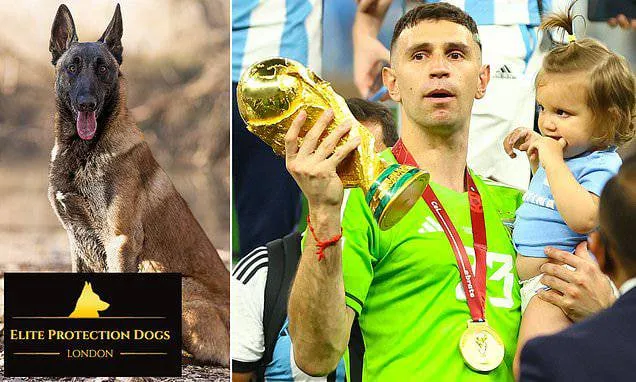 
											
											Emiliano Martinez JCh oltin medalini qoʻriqlash uchun Belgiya “ovcharka”sini sotib oldi
											
											