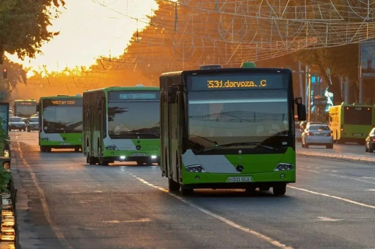 
											
											Bir qancha avtobus va yo‘nalishli taksilarning qatnovi “Food city”ga uzaytiriladi
											
											