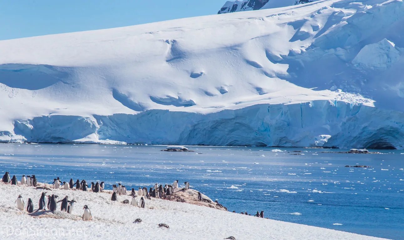 
											
											Олимлар Антарктидадаги музликларнинг эриш тезлигини ҳисоблаб чиқишди
											
											