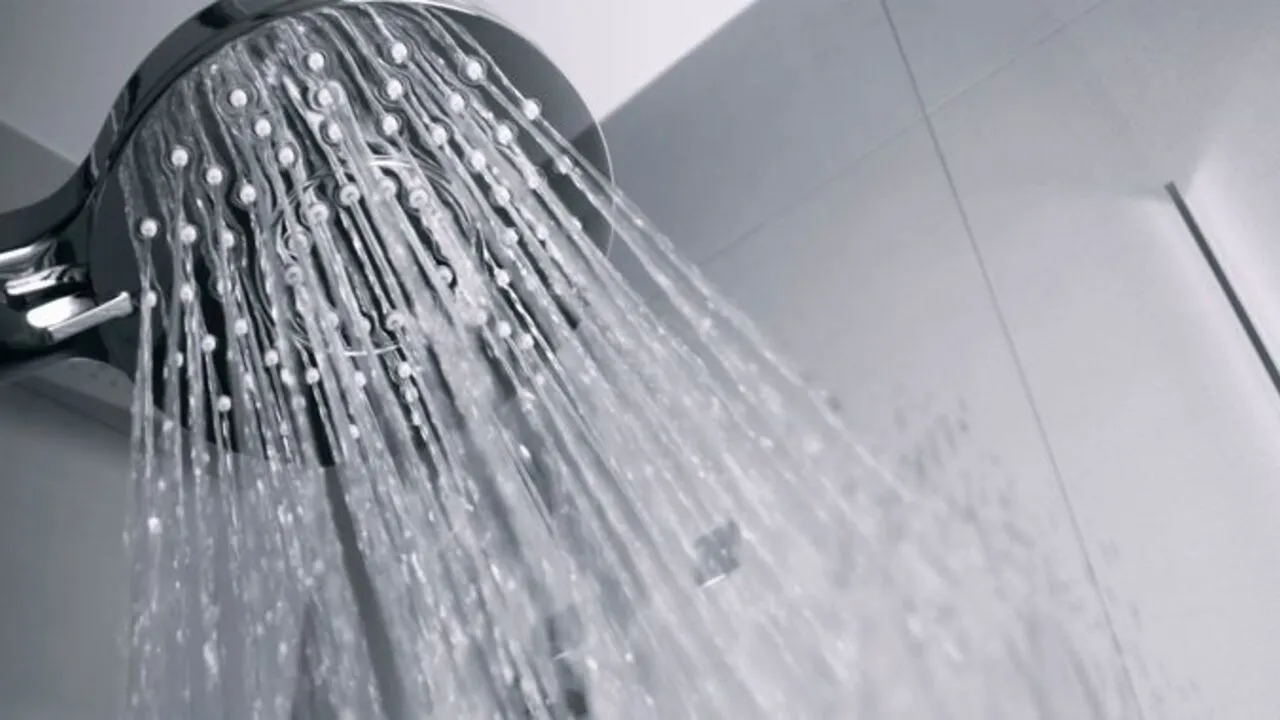 Porno qul qora tanlilar Qizlar orqasidan korish, yalangoch eshaklar, mushuklar