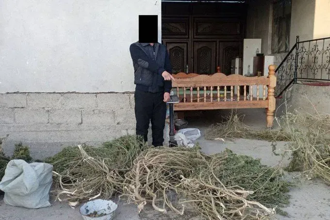 
											
											Samarqanddagi xonadondan birida qariyb 32 kg “marixuana” topildi
											
											