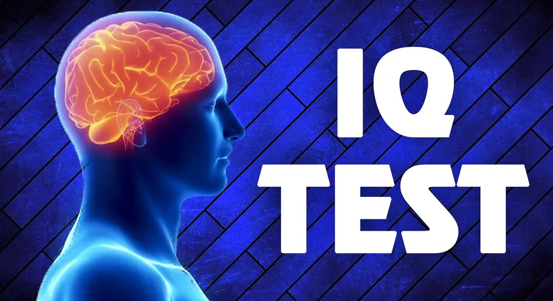 
											
											IQ testi nimaga xizmat qiladi?
											
											