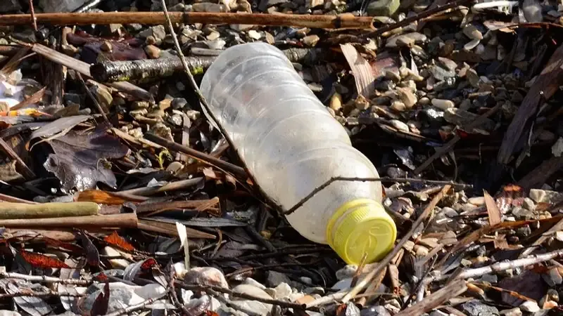 
											
											Plastik idishlarni utilizatsiya qilmaydigan mamlakatlar ro‘yxati e’lon qilindi
											
											