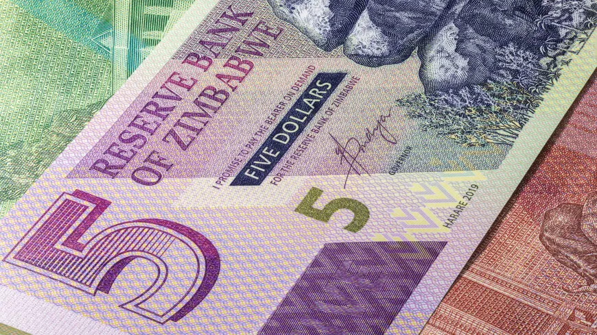 
											
											Zimbabveda dollar o‘rniga yangi milliy valyuta chiqarila boshlandi
											
											