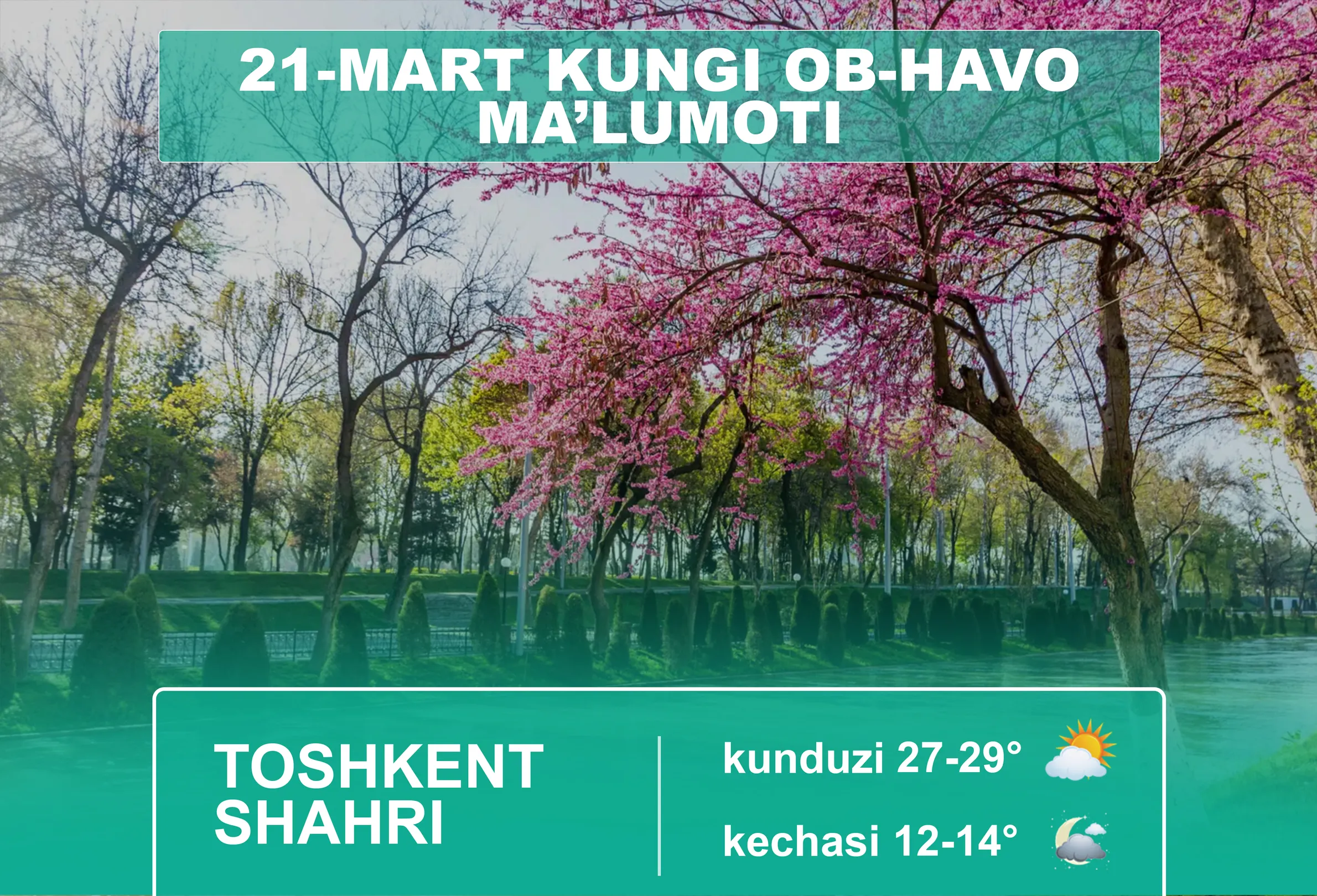 
											
											21-mart kuni qanday ob-havo kuzatiladi?
											
											