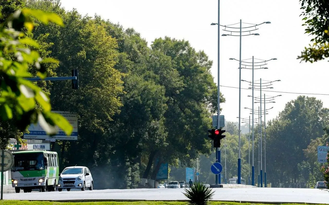 
											
											12-may kuni qanday ob-havo kuzatiladi?
											
											