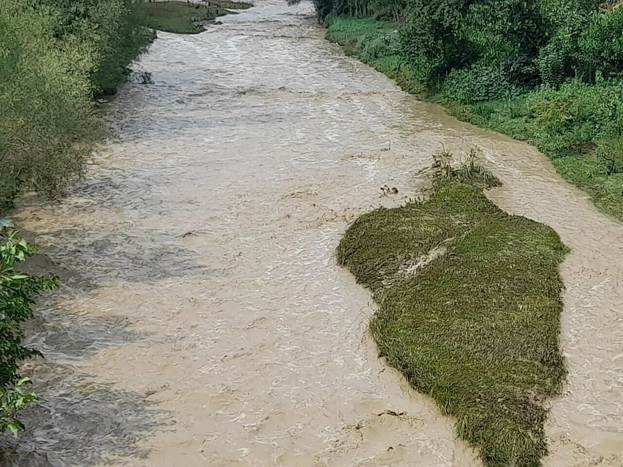
											
											17-19-may kunlari ayrim hududlarda sel xavfi e’lon qilindi
											
											