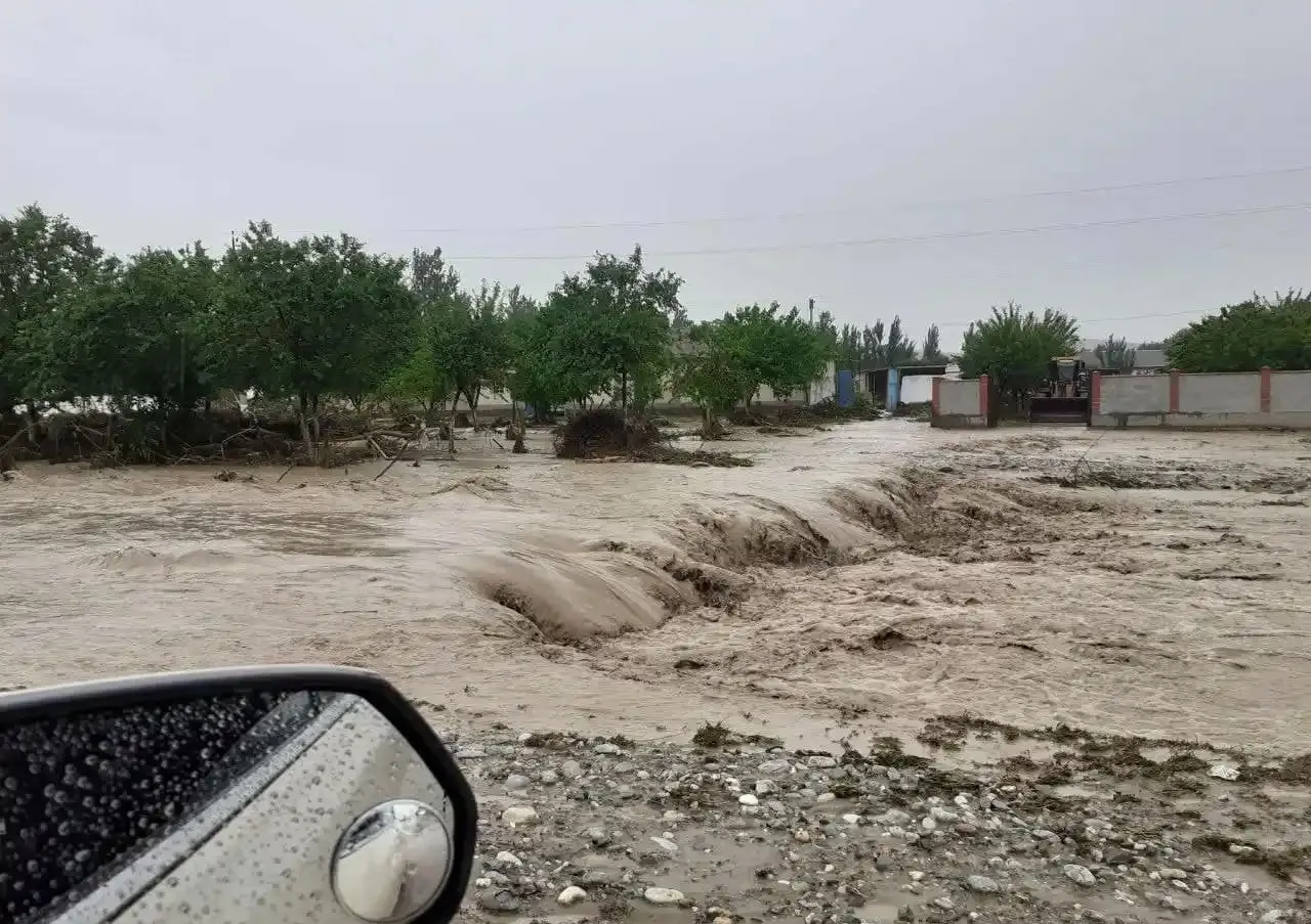 
											
											“O‘zgidromet” 4 ta viloyatda sel-suv toshqinlaridan ogohlantirdi
											
											