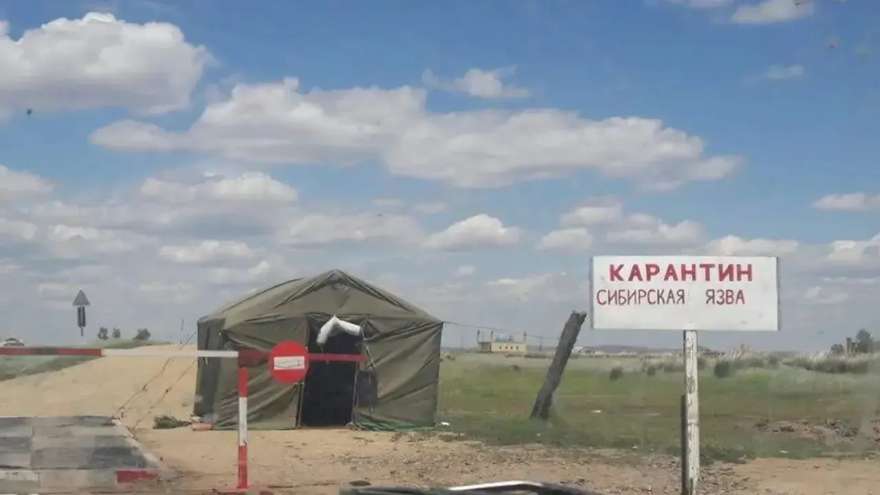 
											
											Qo‘shni davlatlarda kuydirgi tarqaldi: O‘zbekistonda qanday choralar ko‘rilmoqda?
											
											
