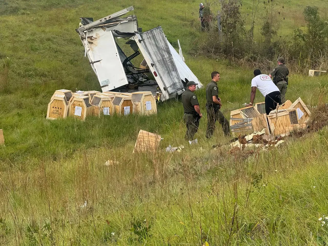 
														
														АҚШда вирус юқтирган тажриба маймунлари қочиб кетди
														
														
