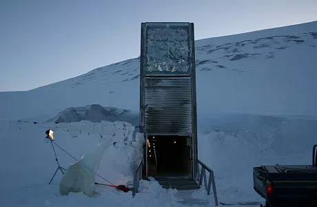 “Qiyomat kuni ombori”dan O‘zbekiston urug‘lari ham joy oldi