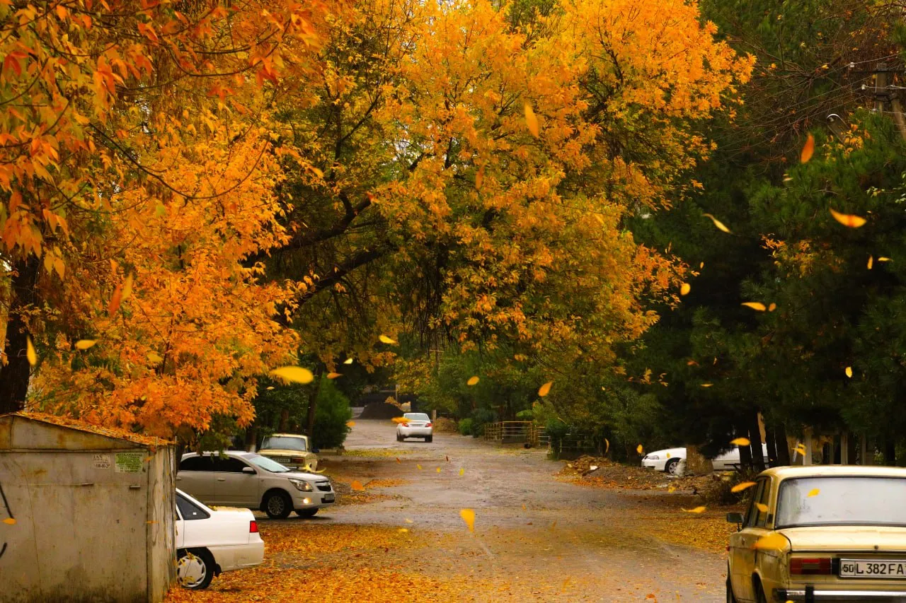 O‘zbekistonda yangi hafta boshida qanday ob-havo kuzatiladi?