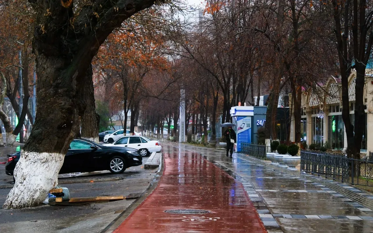 
														
														Янги ҳафта бошида қандай об-ҳаво кузатилади?
														
														