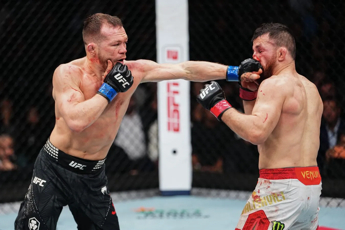 UFC. Пётр Ян Мераб Двалишвилидан камарни тортиб олди