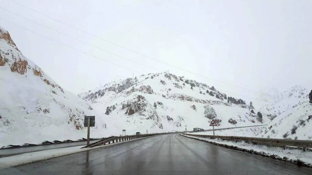 13-dekabr kuni kutilayotgan ob-havo ma’lumoti