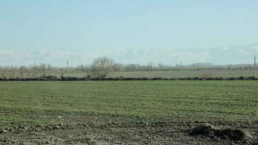 
														
														Ўзбекистонда ер участкаларини ижарага бериш бўйича янги тартиб жорий этилади
														
														