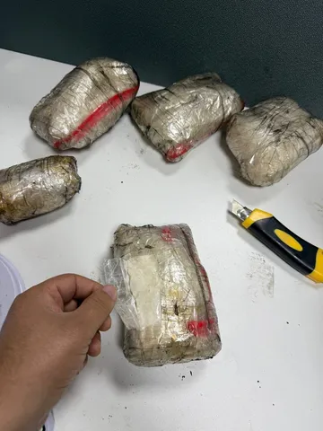 
														
														Rossiyadan narkotik olib kirgan shaxs qo‘lga olindi
														
														