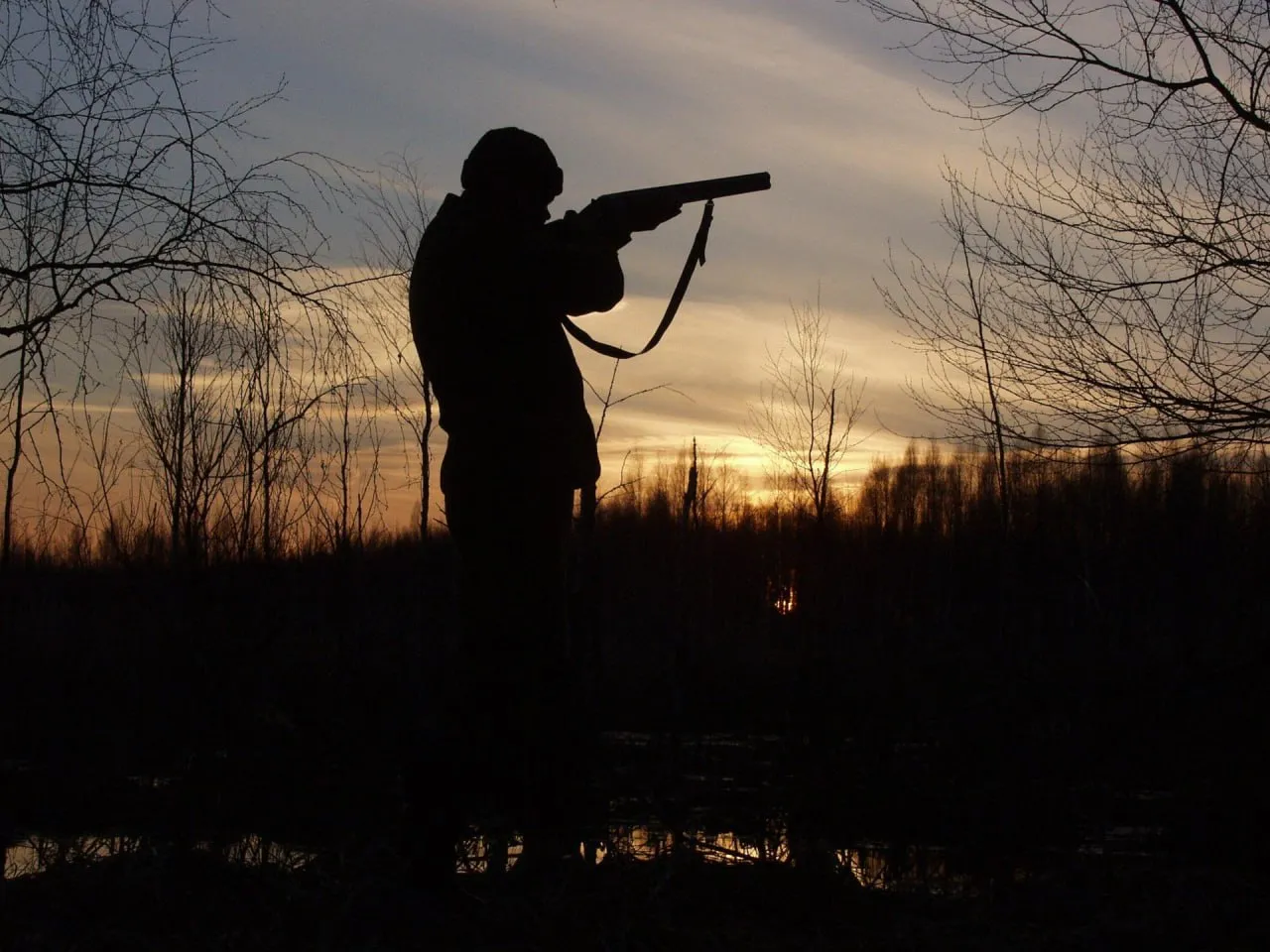 
														
														Овчи шеригини ёввойи тўнғиз деб ўйлаб отиб қўйди
														
														