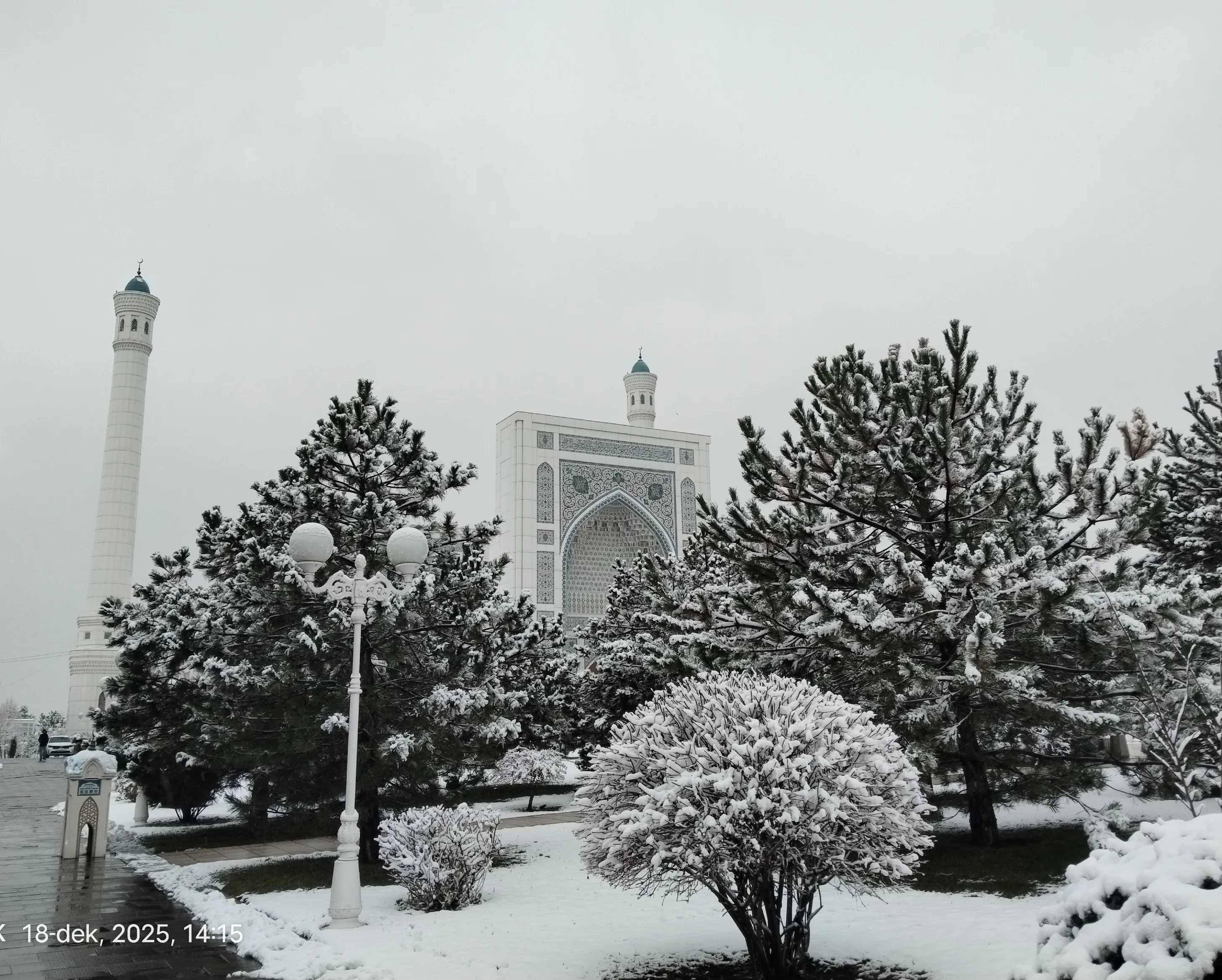 O‘zbekistonda 11-yanvar qanday ob-havo kuzatiladi?
