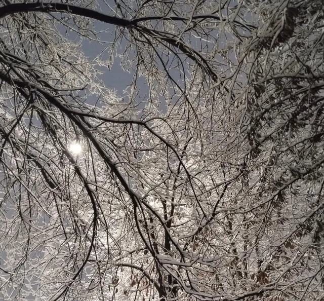 Ertaga O‘zbekistonning ayrim hududlarida qor yog‘ishi mumkin