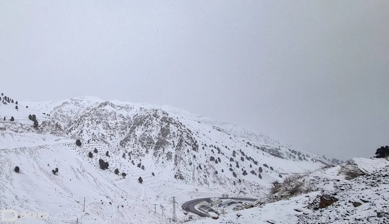 “Ўзгидромет” 6 та вилоятда қор кўчиш хавфини эълон қилди