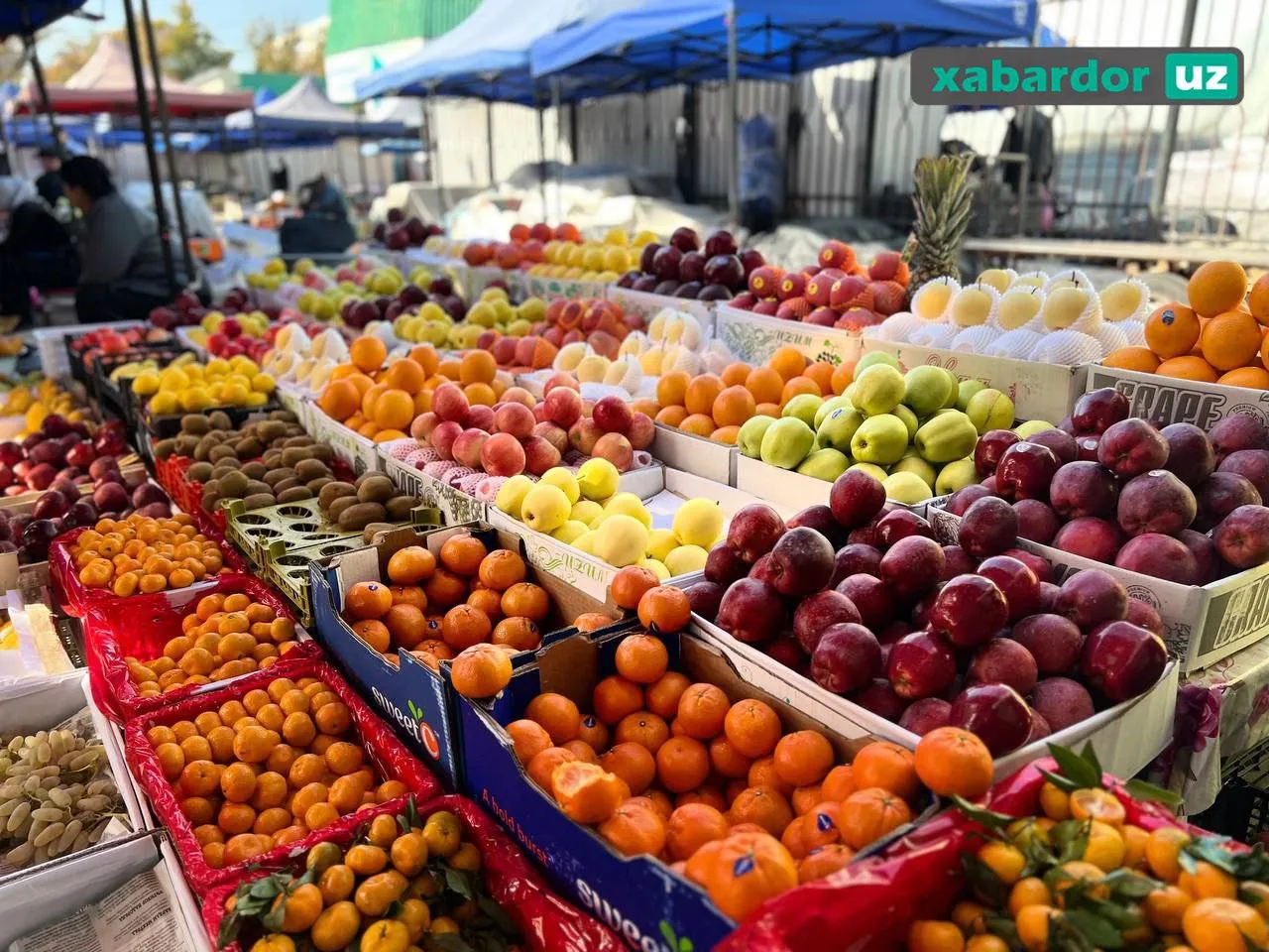 O‘zbekistonda savdo xizmatlari hajmi 158 trln so‘mdan oshdi