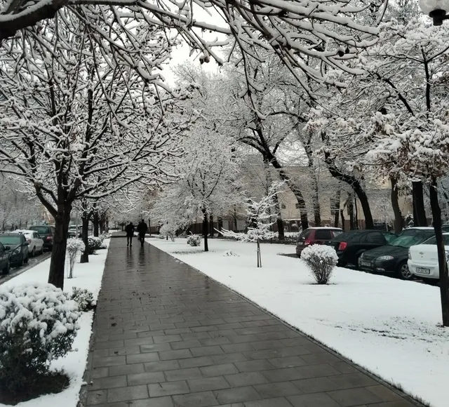 
														
														Ertaga ham O‘zbekiston bo‘ylab qor yog‘ishi kutilmoqda
														
														