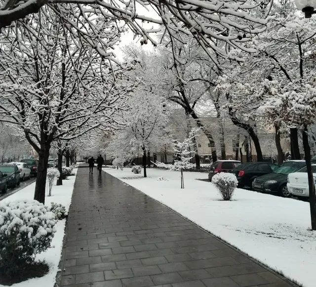 Ertaga ham O‘zbekiston bo‘ylab qor yog‘ishi kutilmoqda