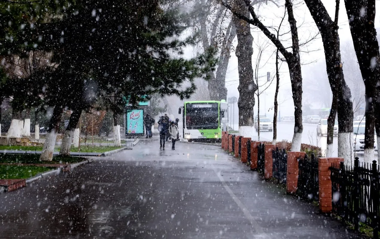 Эртага Ўзбекистоннинг айрим ҳудудларида ёғингарчилик кузатилади