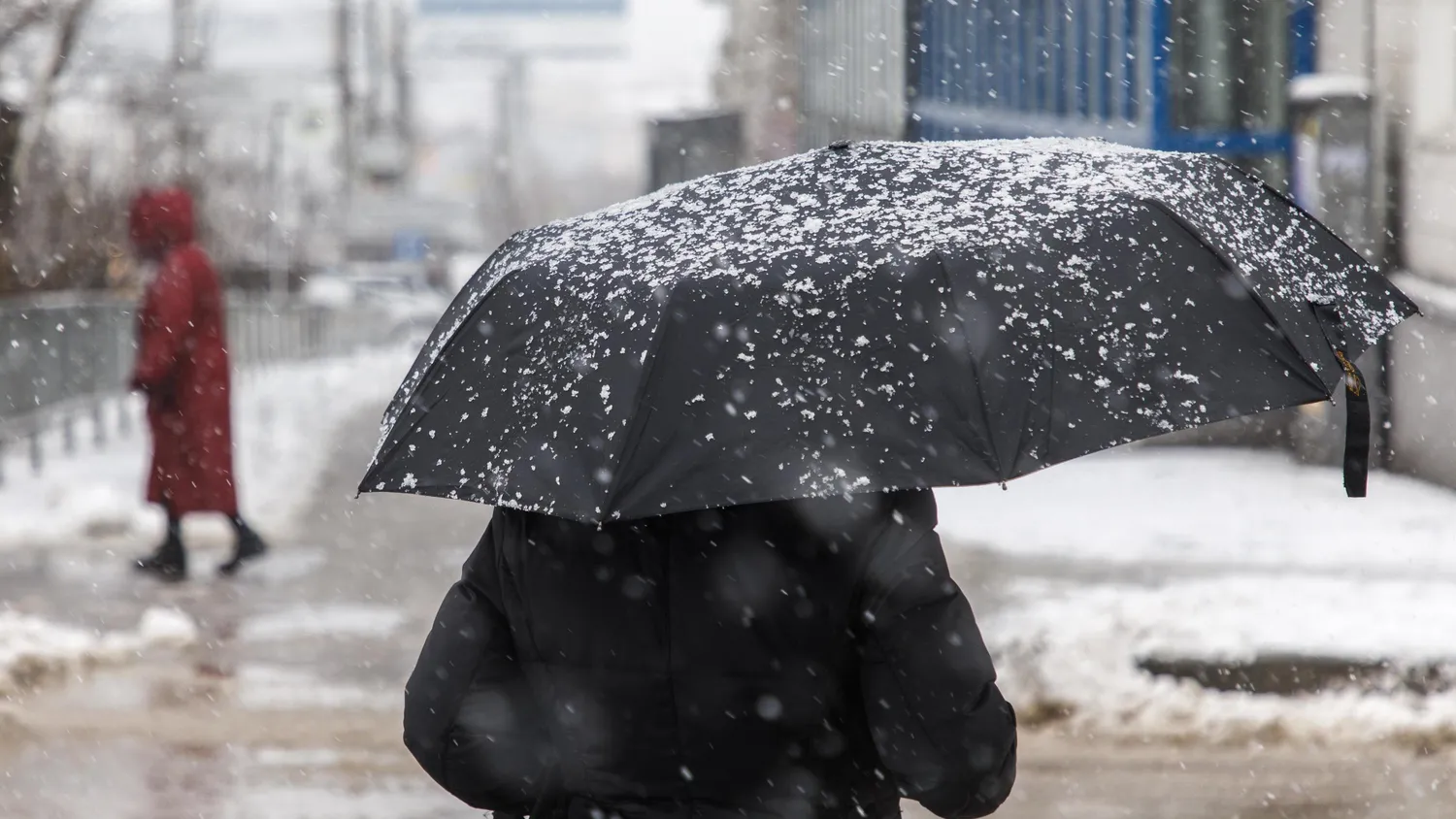 
														
														29-yanvar kungi ob-havo ma’lumoti
														
														