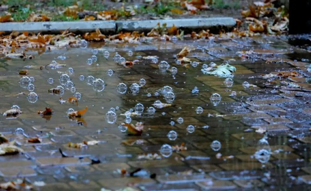 9-fevral kuni kutilayotgan ob-havo ma’lumoti