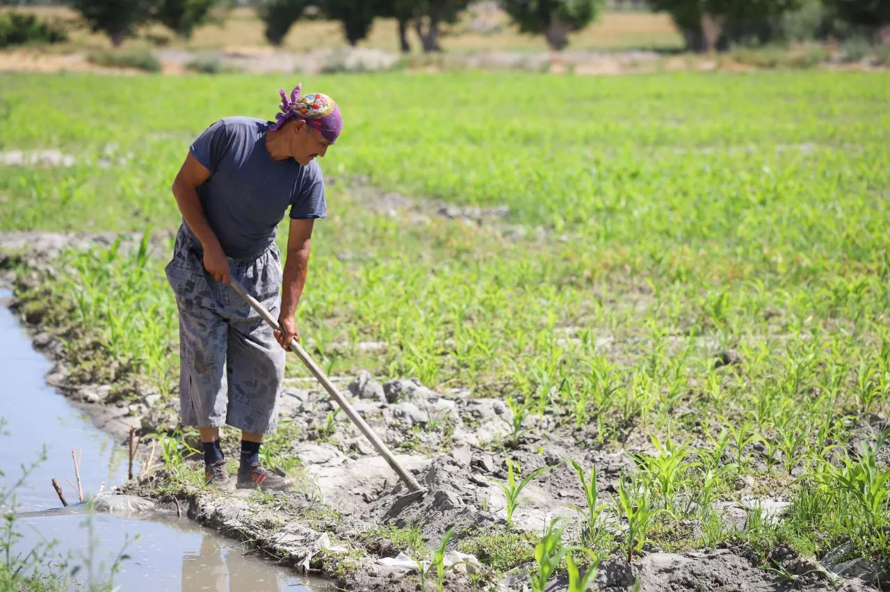 
														
														Уста деҳқонларга 75 млн сўмгача субсидия ажратилади
														
														