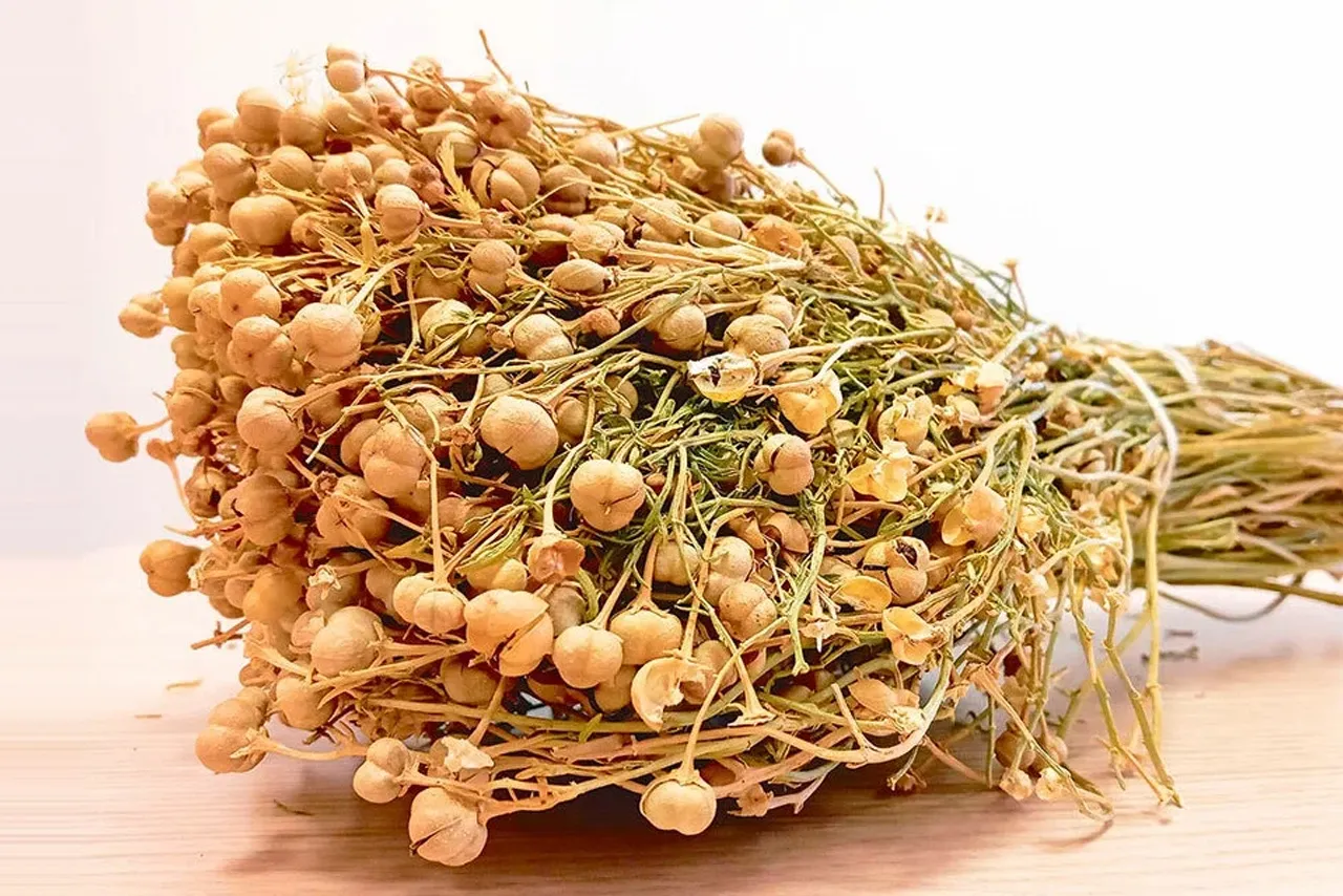 Россияда исириқ учун жиноий жавобгарлик жорий этилди