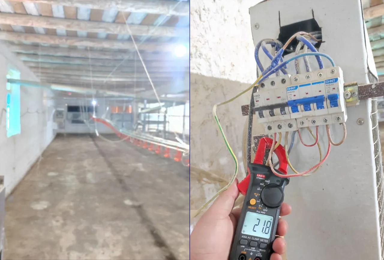 Jizzaxda parrandachilik fermasi tomonidan 2,5 mlrd so‘mlik elektr o‘marildi