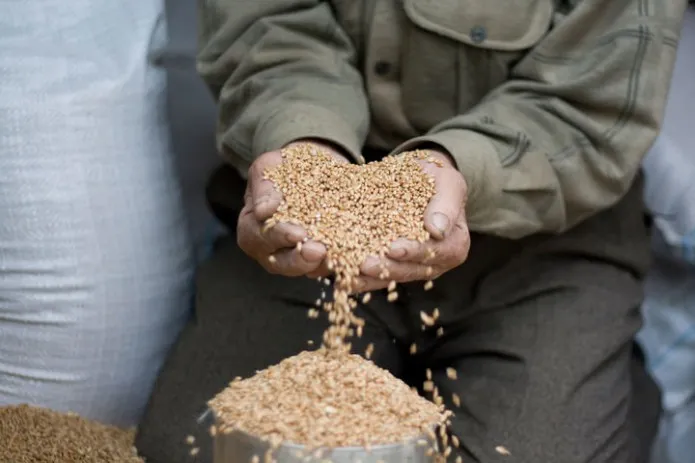 
														
														2026 йил учун закот, фитр ва фидя миқдори белгиланди
														
														