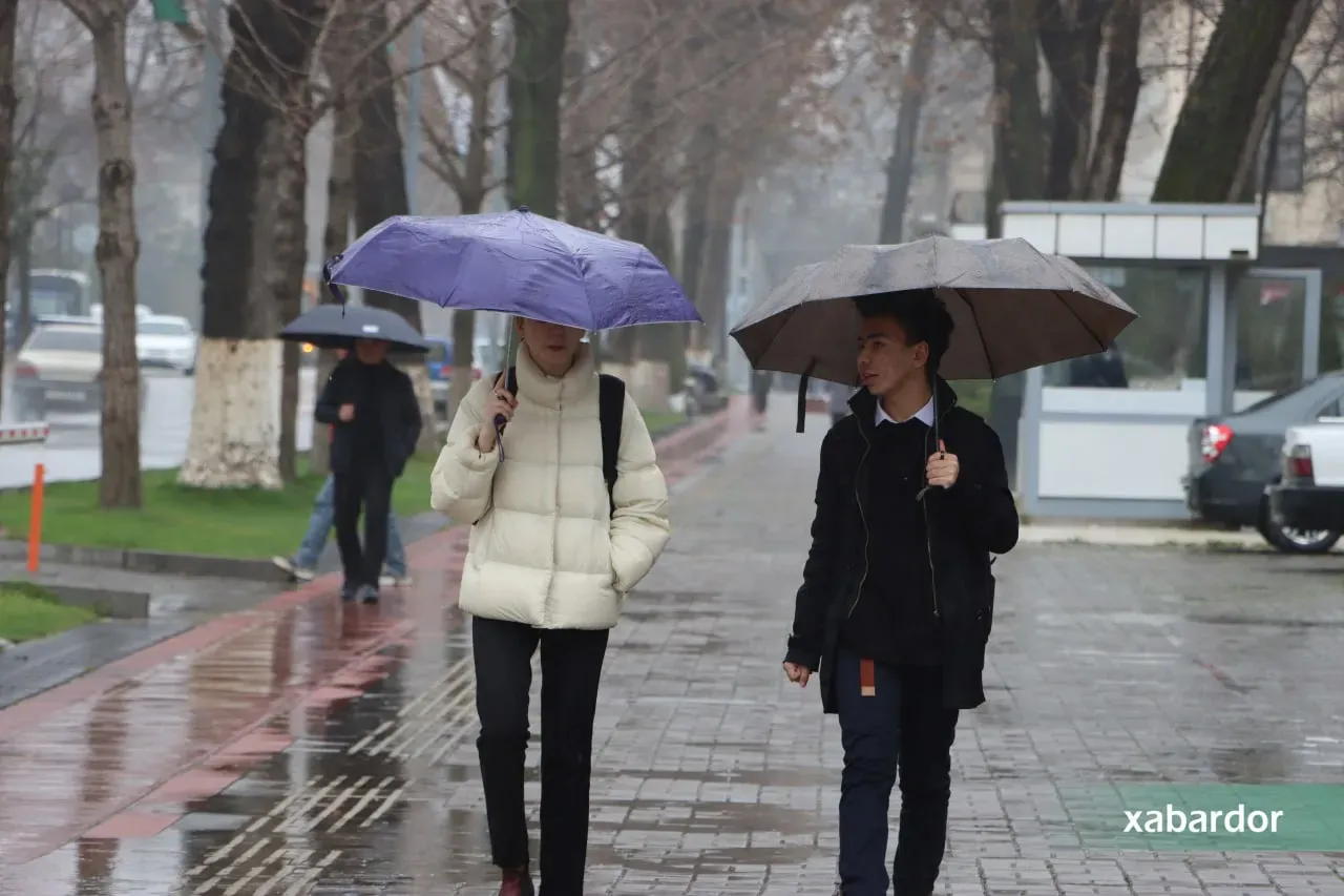 21-fevral kuni O‘zbekistonda qanday ob-havo kuzatiladi?