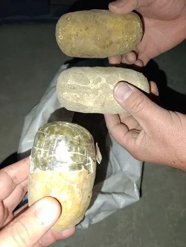 Kartoshka ko‘rinishida niqoblangan 72 kg narkotik modda fosh qilindi