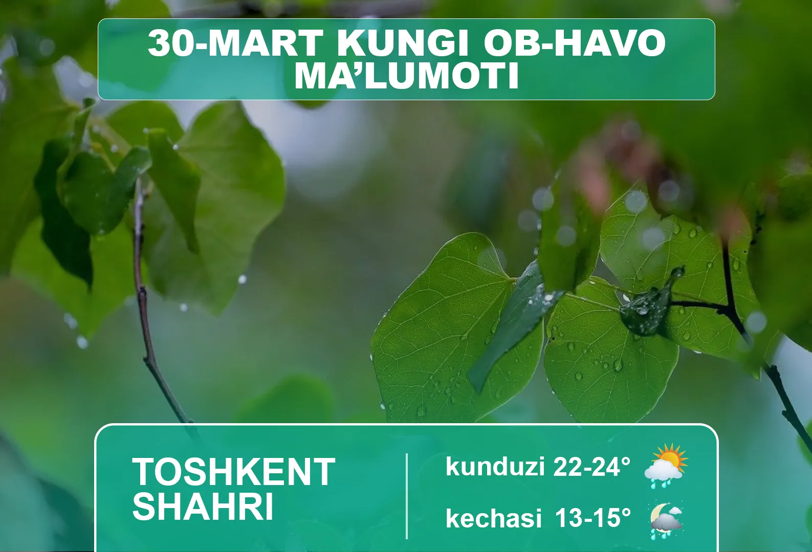 
														
														30 март кунги об-ҳаво маълумоти
														
														