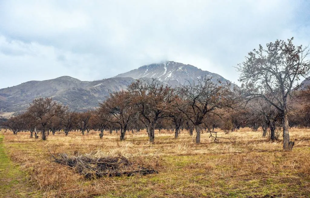 9 ноябрь куни кутилаётган об-ҳаво маълумоти