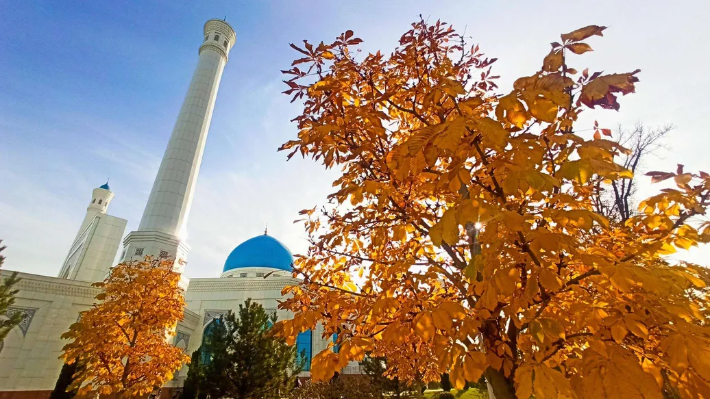 Hafta boshida harorat 24 darajagacha ko‘tariladi