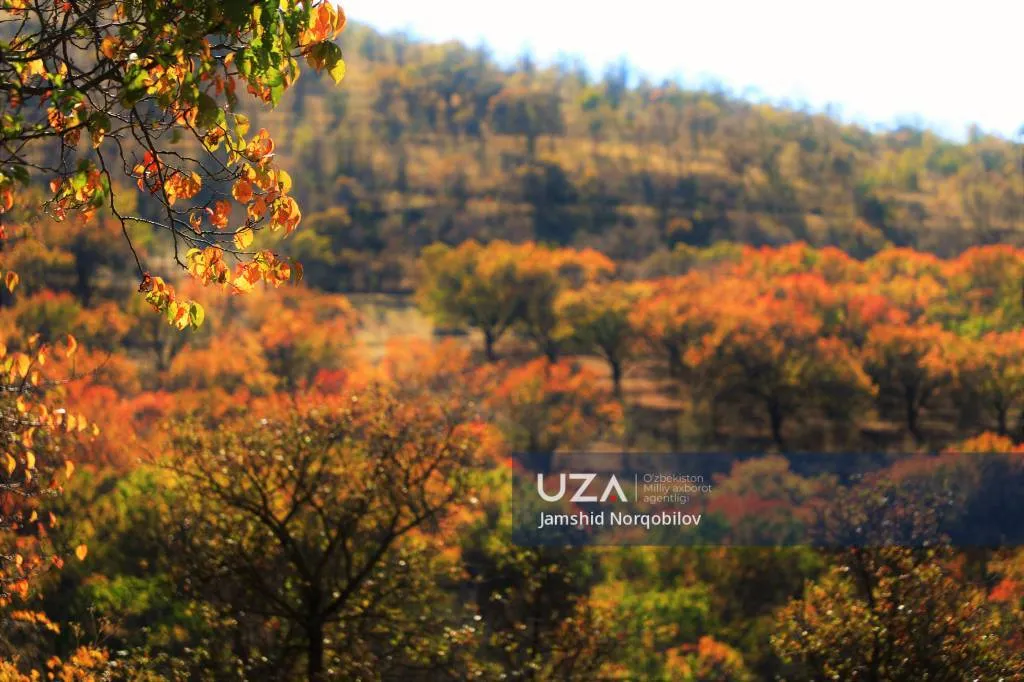 
														
														20 ноябрь куни кутилаётган об-ҳаво маълумоти
														
														