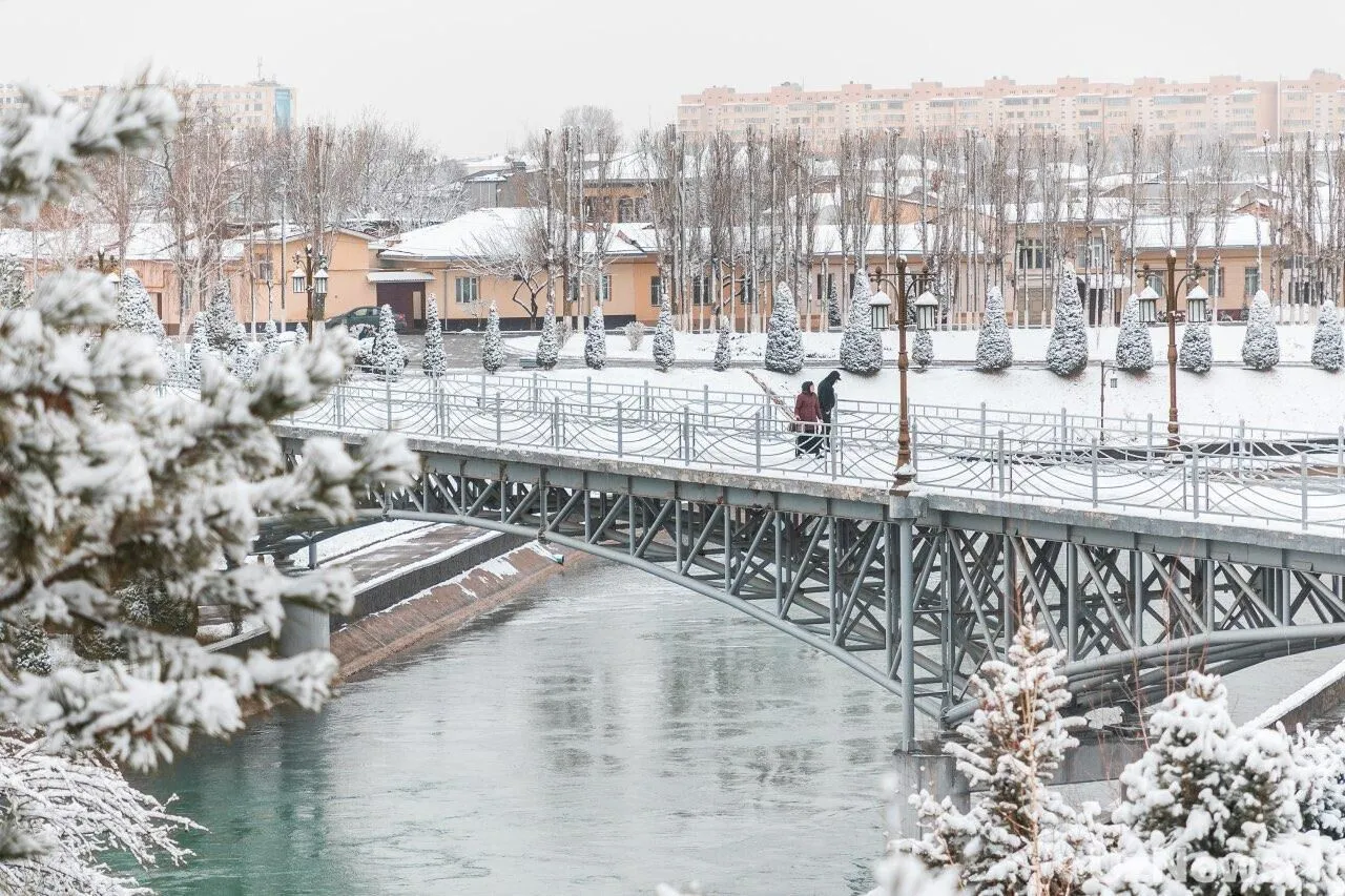 
														
														Эртага Ўзбекистон бўйлаб ёмғир ва қор ёғиши кутилмоқда
														
														