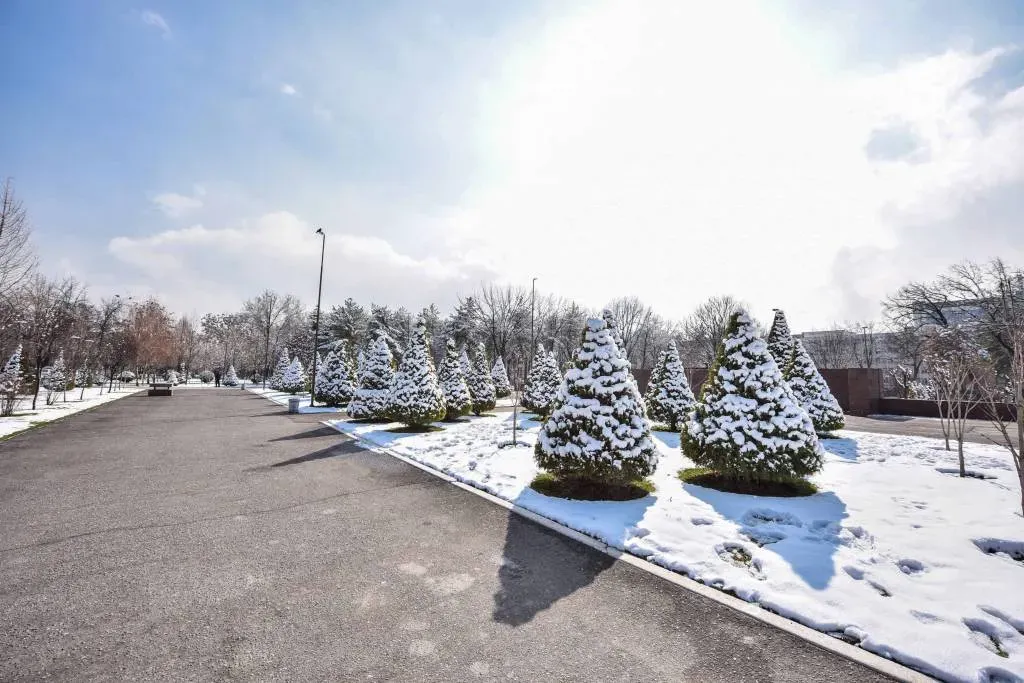 25-dekabr kuni kutilayotgan ob-havo ma’lumoti