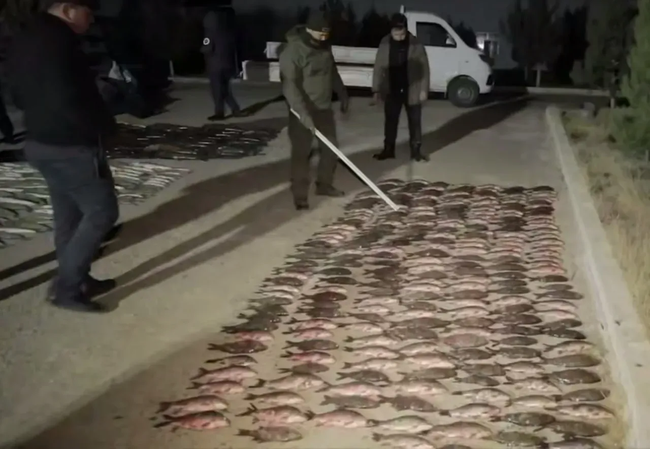 Навоийда ноқонуний балиқ ови ортидан ҳайвонот дунёсига 680 млн сўмл зарар етказилди